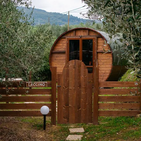 Le Botti Fiorentine-2